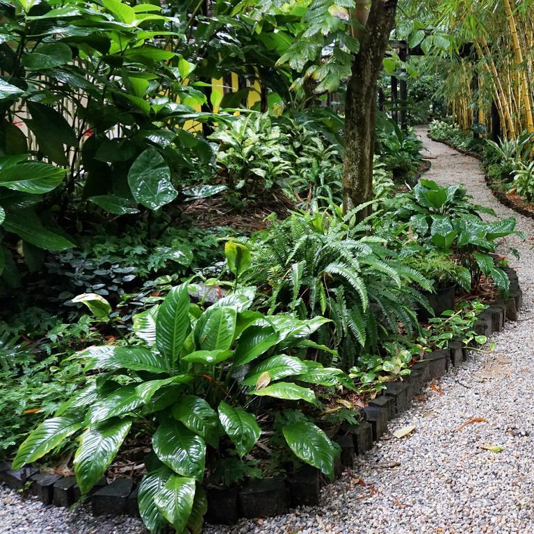 Jacana Amazon Wellness Resort パラマリボ エクステリア 写真